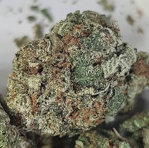cannaby